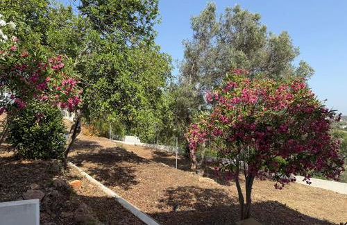 Solar dos Lirios - Foto 70