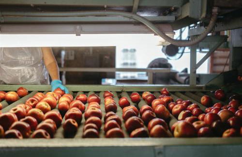 Historic Farm Cottage on 800-Acre Orchard - Foto 50