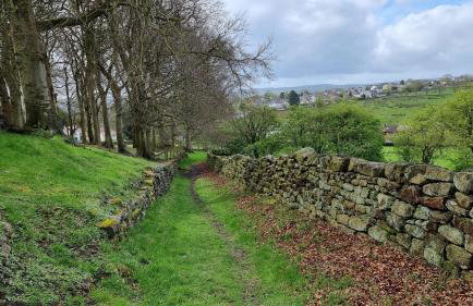 Curlew Cottage Eldwick peaceful location where you can watch the horses - Foto 16