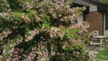 Tolroy manor holiday cottage - Foto 3