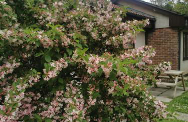 Tolroy manor holiday cottage - Foto 3