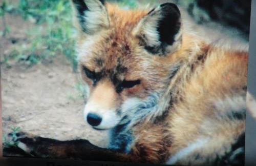 Turismo Rural Macieira Brava - Foto 35