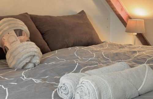 Detente et Confort, proche Gare RER D, CDG, Astérix - Foto 14