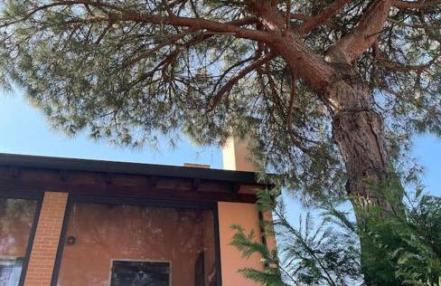 Villetta vicina alla spiaggia - Foto 14