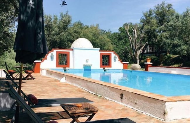 Moinho do Álamo - Foto 43