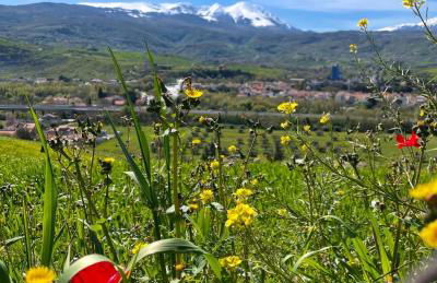 GArt House Holiday Home - Foto 13