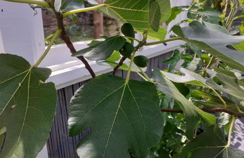 The Treehouse by Airlie - Foto 29