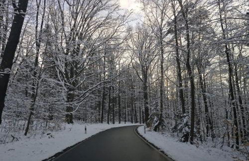 Ferienhaus in Kollm mitten in der Oberlausitz - Foto 28