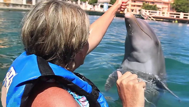Nado con delfines en el Parque Aquaventuras - Foto 2