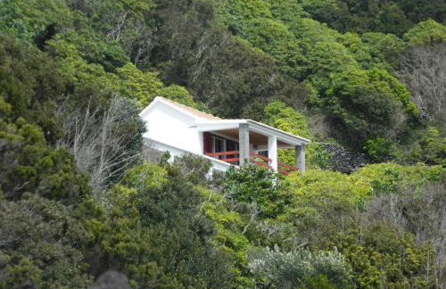 Adega Ninho da Cagarra - Photo 32