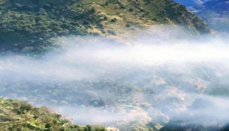 Cortijo La Solana - Foto 5