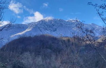 Ca Na Martina - Foto 31