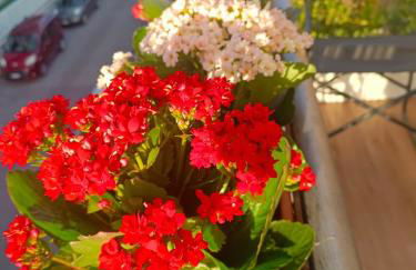 Alloggio Turistico Stefy - Foto 20