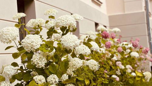 Villa Schuwardt auf Nordend - Foto 5, Garden