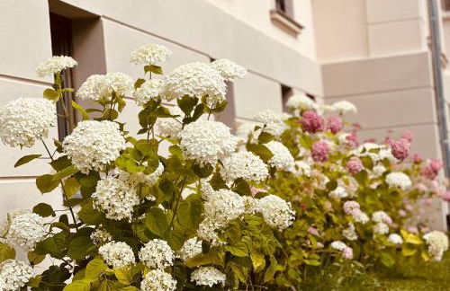 Villa Schuwardt auf Nordend - Foto 5