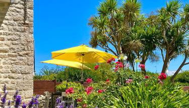 Villa Kérity-Ki - au coeur du port typique de Kérity - Photo 3