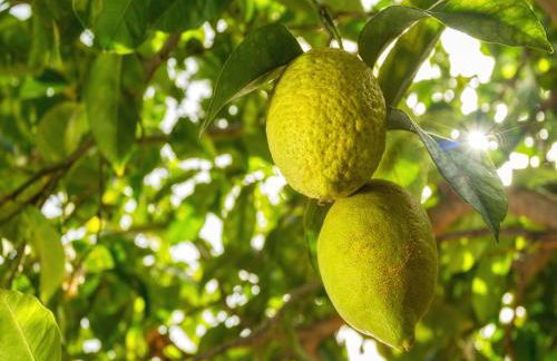 Clelia Case Vista Mare - Foto 42