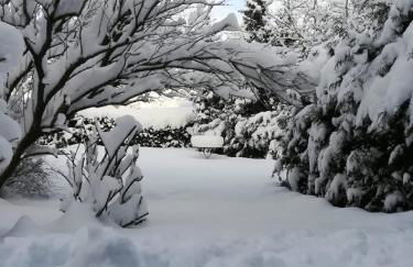 Ferienwohnung Gärtner - Foto 8