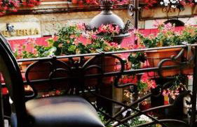 Purple Dog Suites - Foto 9