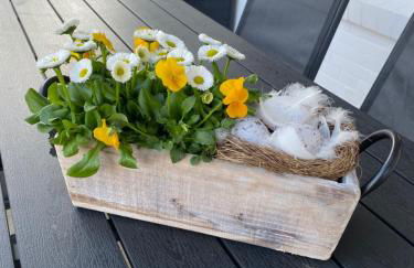 Land in Sicht - Foto 11