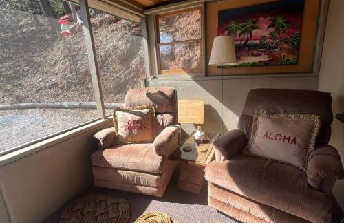 Private Mtn Love Shack w/ fast wifi, BBQ & view - Foto 24