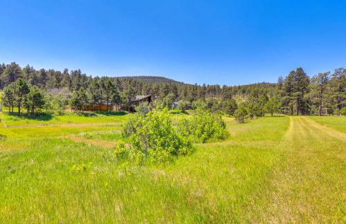 Rapid City Cabin with Hiking and ATV Trail Access - Foto 23