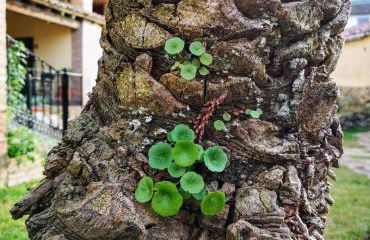 La Casa del Marqués - Foto 69