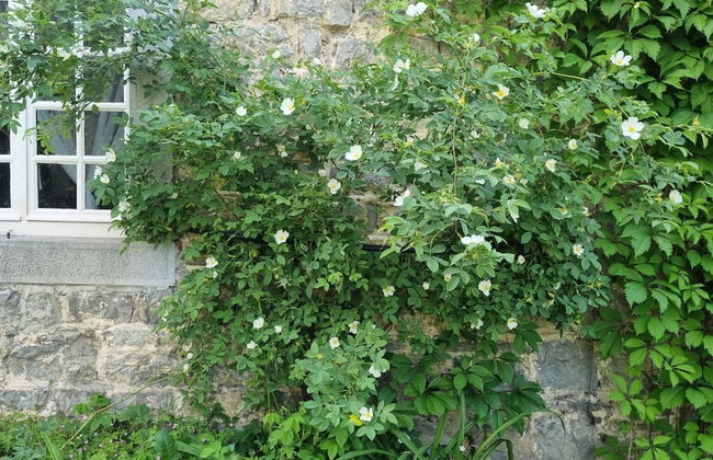 Lavish Holiday Home in Forrieres With Sauna - Foto 37