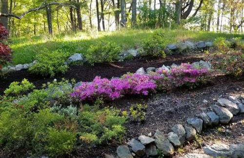 Harvard House-The Gathering Place - Foto 25