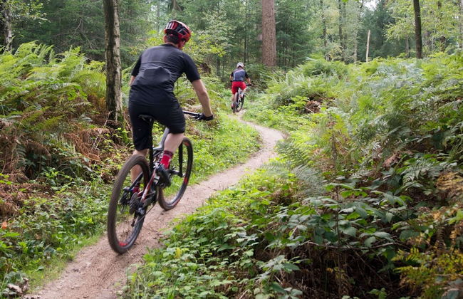 Bright Holiday Home in Lanaken near Lake with Garden - Foto 32