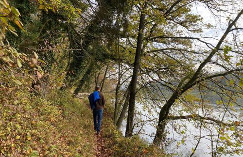 Ferienhaus Andadoana - Foto 29