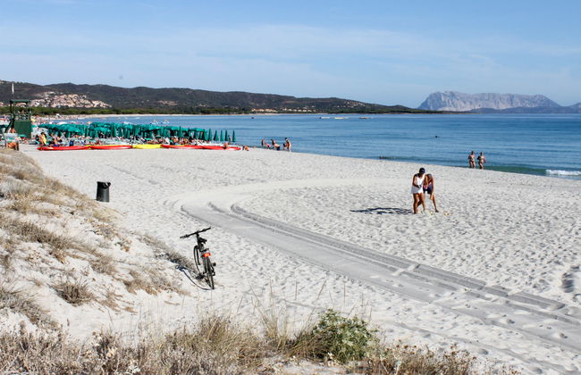 Panorama 7 - Foto 28