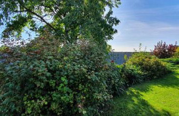 Skalny Widok - Foto 10