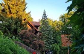 4 Sterne-Haus am See - Foto 9