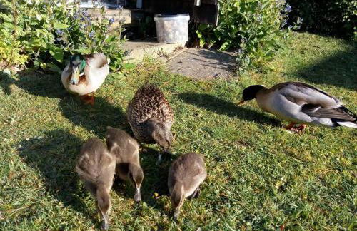 The Patch at Snettisham Beach - Foto 57