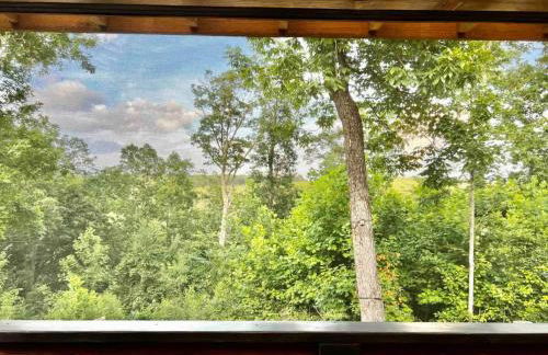 Blackbird Cabin - Foto 17