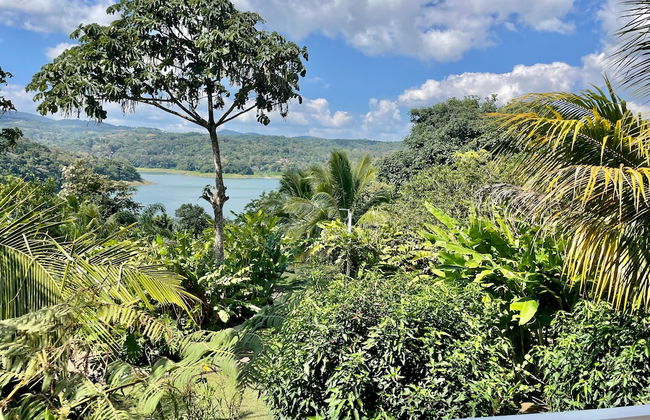 The Fruit Tree Garden Bromeliad Suite - Foto 17