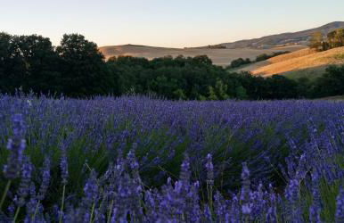 Villa Emma-Toscanaparadiso - Foto 47