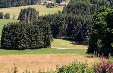 Ferienwohnung Waldhauser - Foto 8