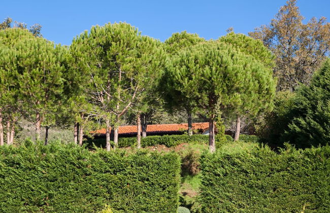 Finca La Sayuela - Foto 58