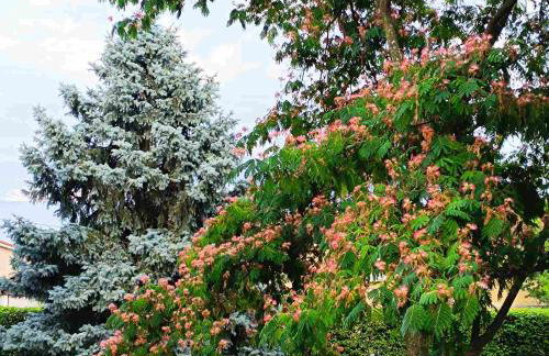 Villa Riviera blue with seaview, pool, whirlpool, parking and boat excursions - Foto 63