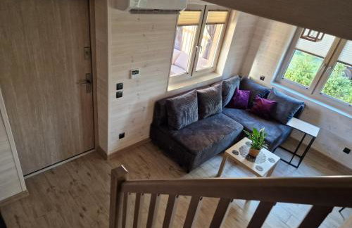 Wiele Żurawi - Foto 45