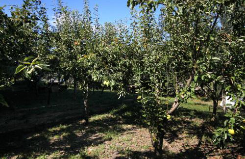 Apartments with WiFi Groznjan, Central Istria - Sredisnja Istra - 7038 - Foto 22