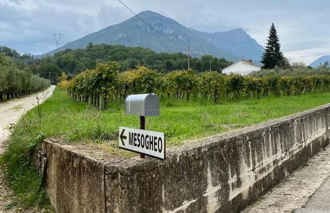Unique Countryside Loft Room, Near Naples - Foto 20