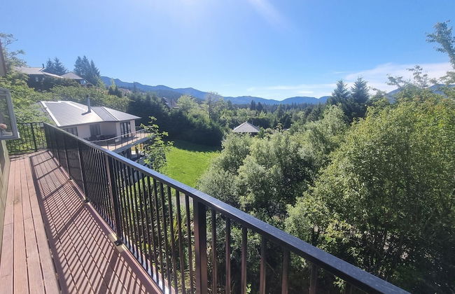 43 Alpine Ave - Photo 12