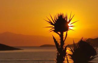 Sun Senses beach front villa with private beach - Photo 73