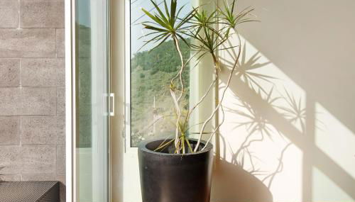 Madeira Villa Liliana - Foto 4