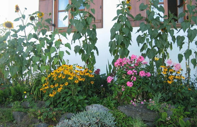 Apartment in the Allgau With View of the Bavarian Alps - Foto 35