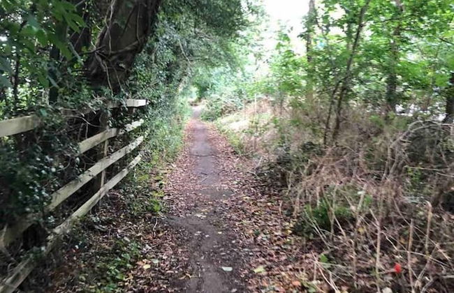 Immaculate 1-bed Apartment in London - Foto 25