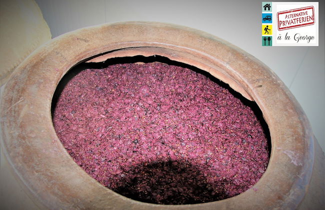 Tzionis Petroktisto Holiday Stonehouse - Photo 59